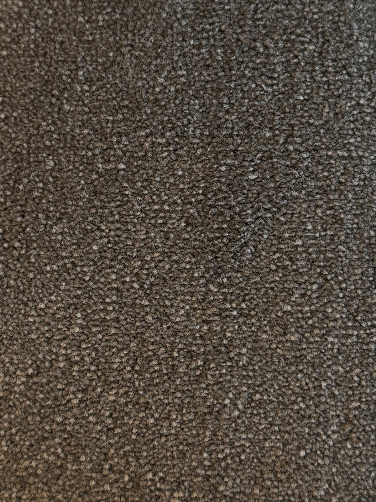 Bomonti carpet - Smoked Ember