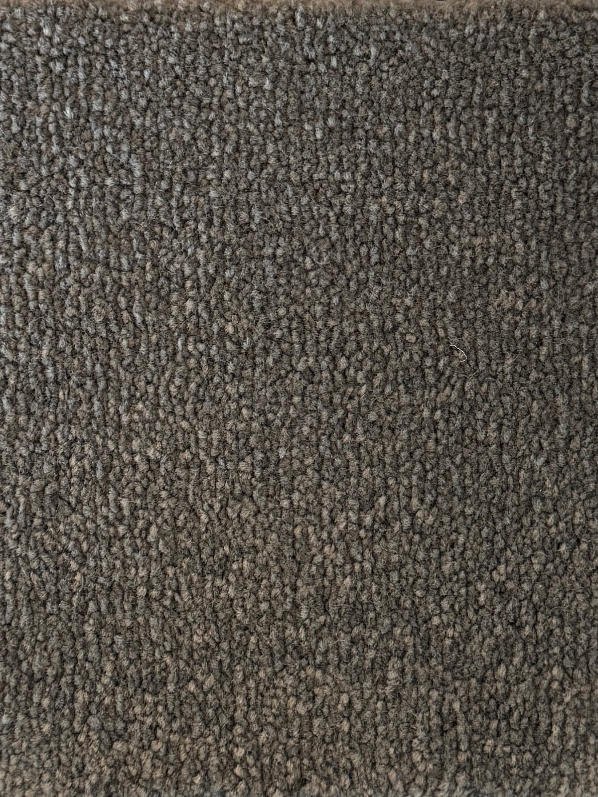 Bomonti carpet - Wolfhound