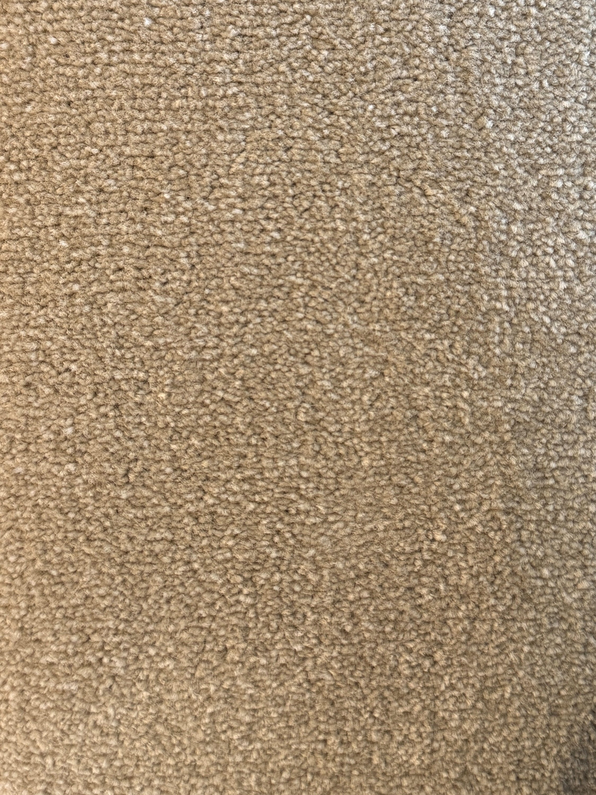 Bomonti carpet - Harvest