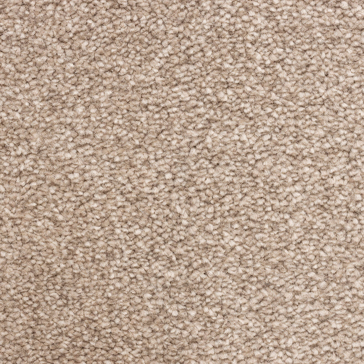 Phloor Everest felt-back carpet – 172 Cashmere