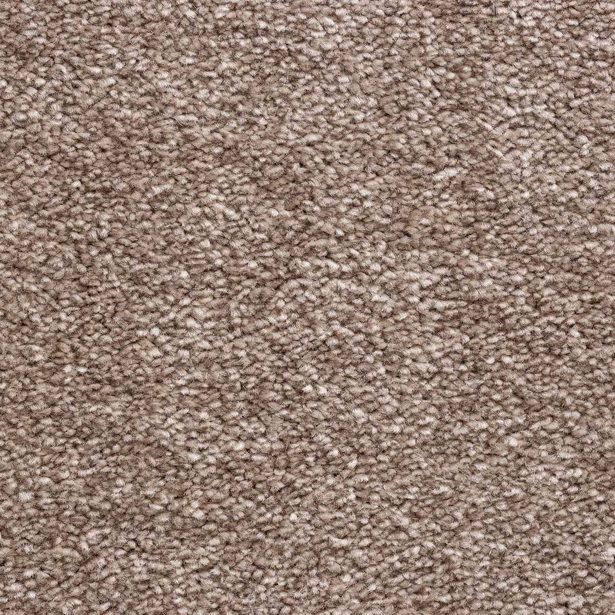 Phloor Everest felt-back carpet – 273 Mushroom