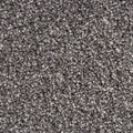 Phloor Everest felt-back carpet – 276 Spanish Silver