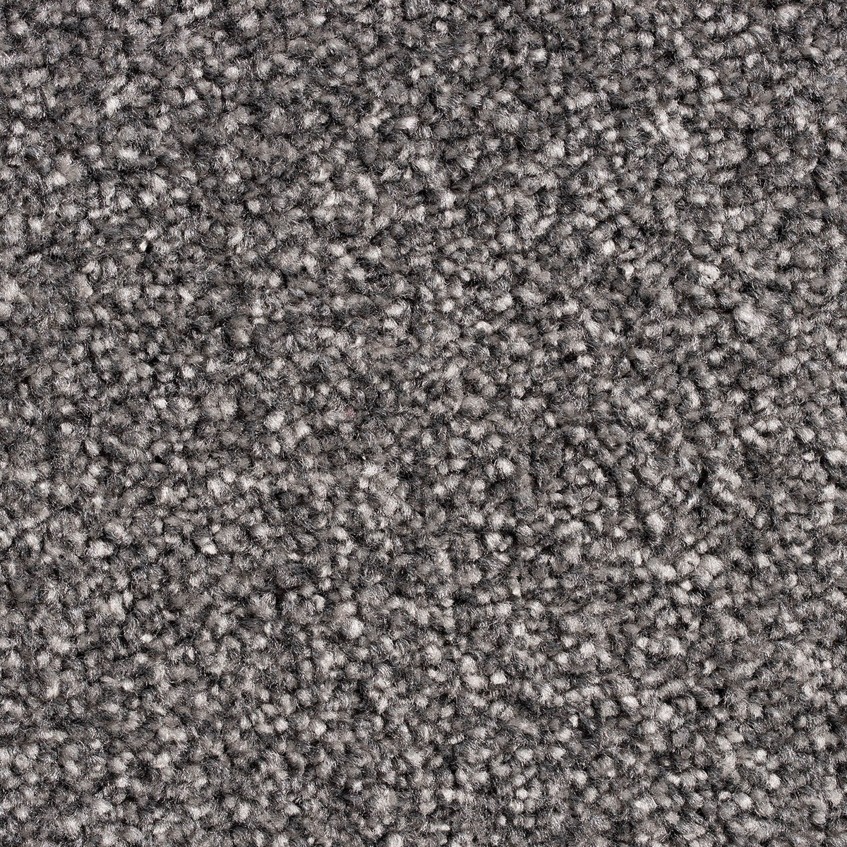 Phloor Everest felt-back carpet – 276 Spanish Silver