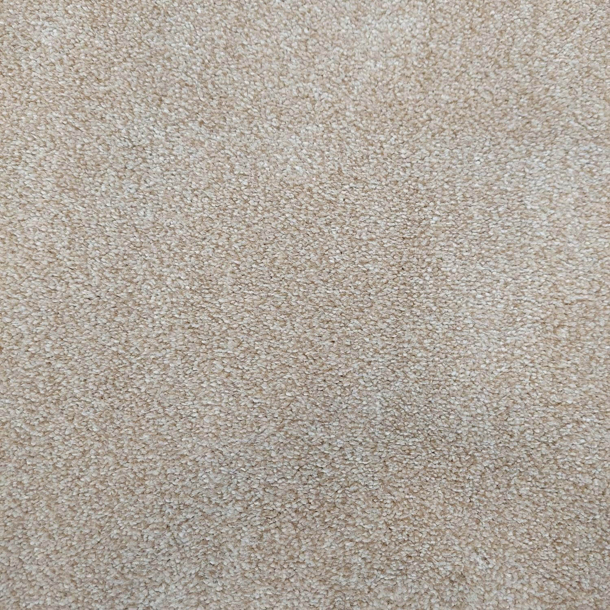 Phloor Caress luxury saxony carpet – Limestone