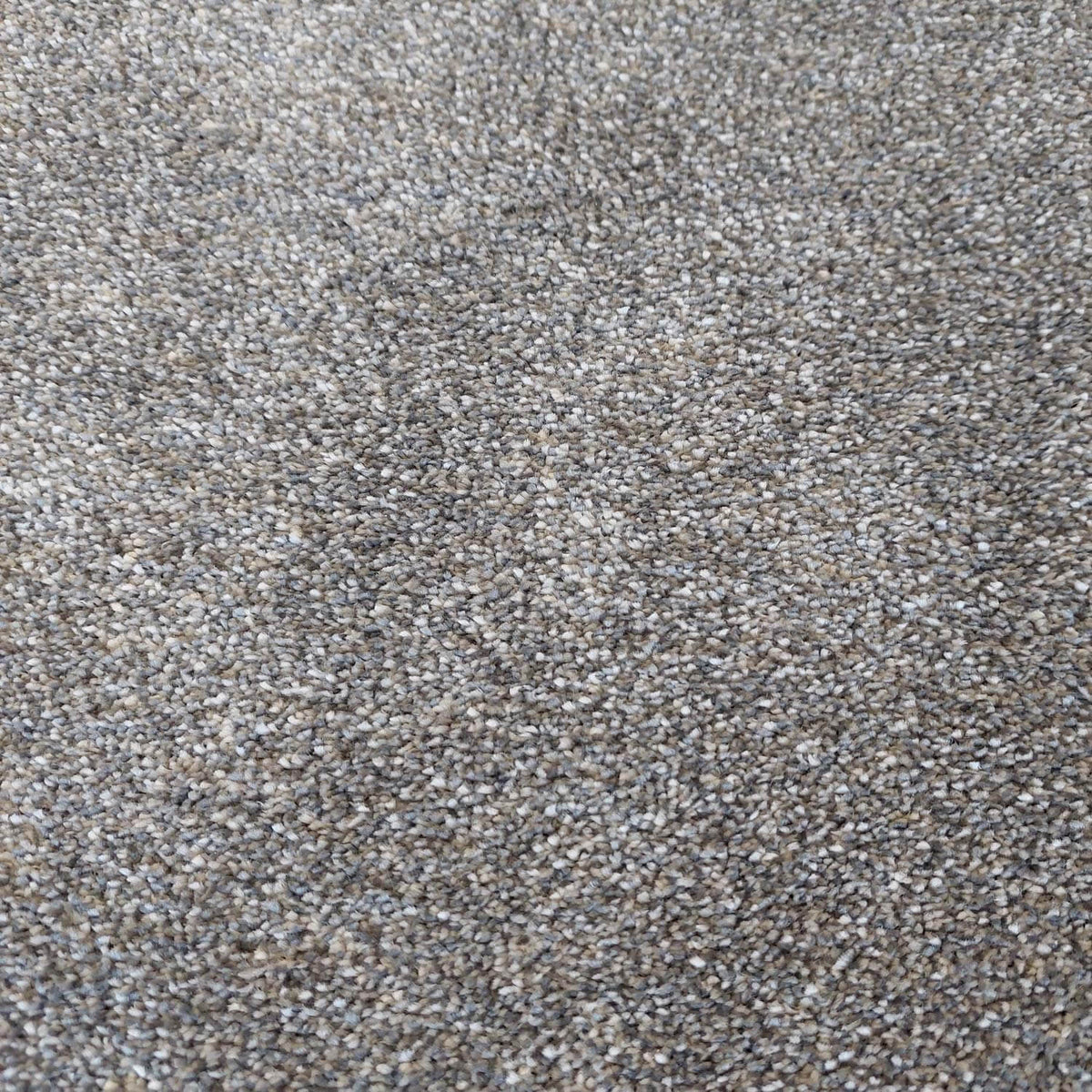 Phloor Caress luxury saxony carpet – Wolfhound