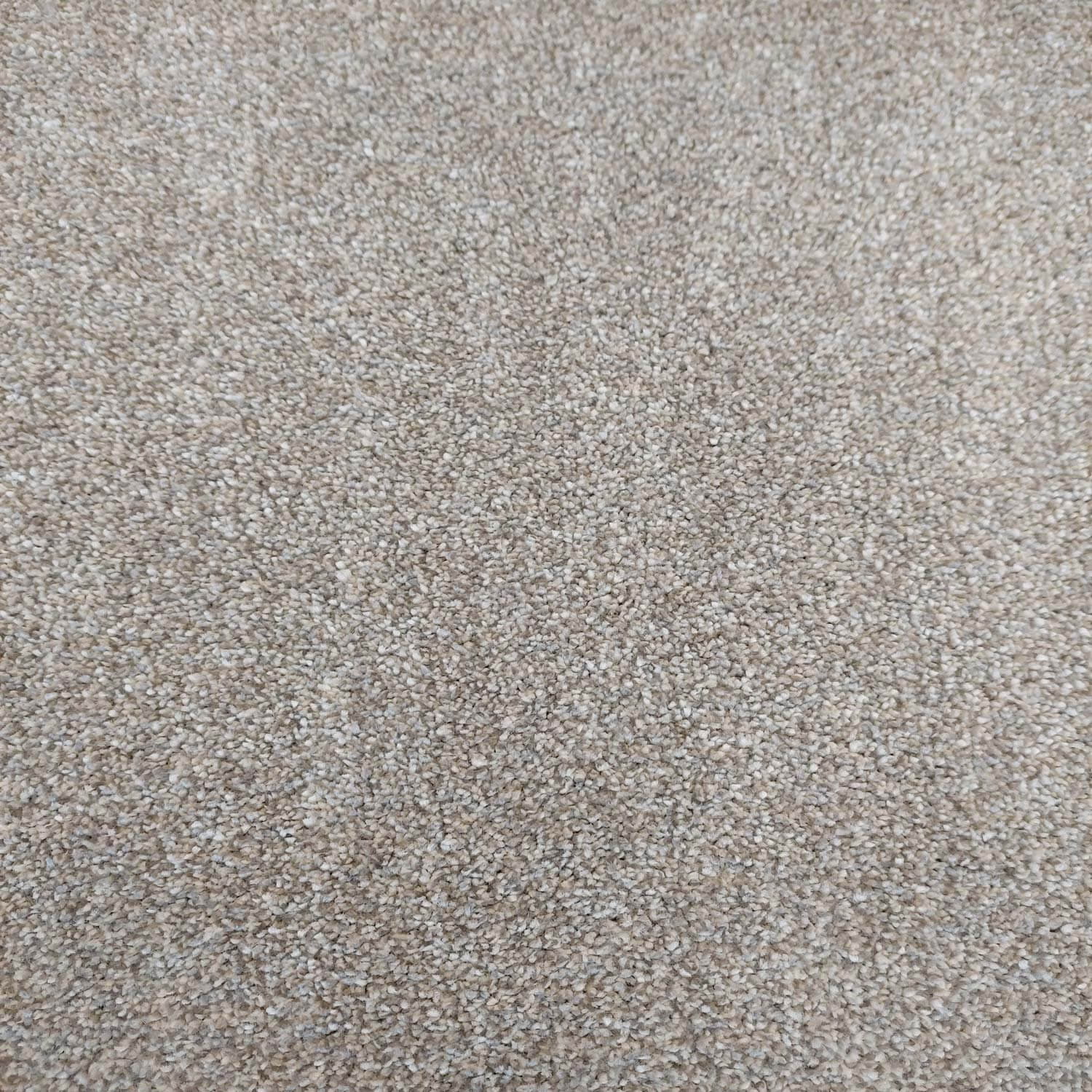 Phloor Caress luxury saxony carpet – French White