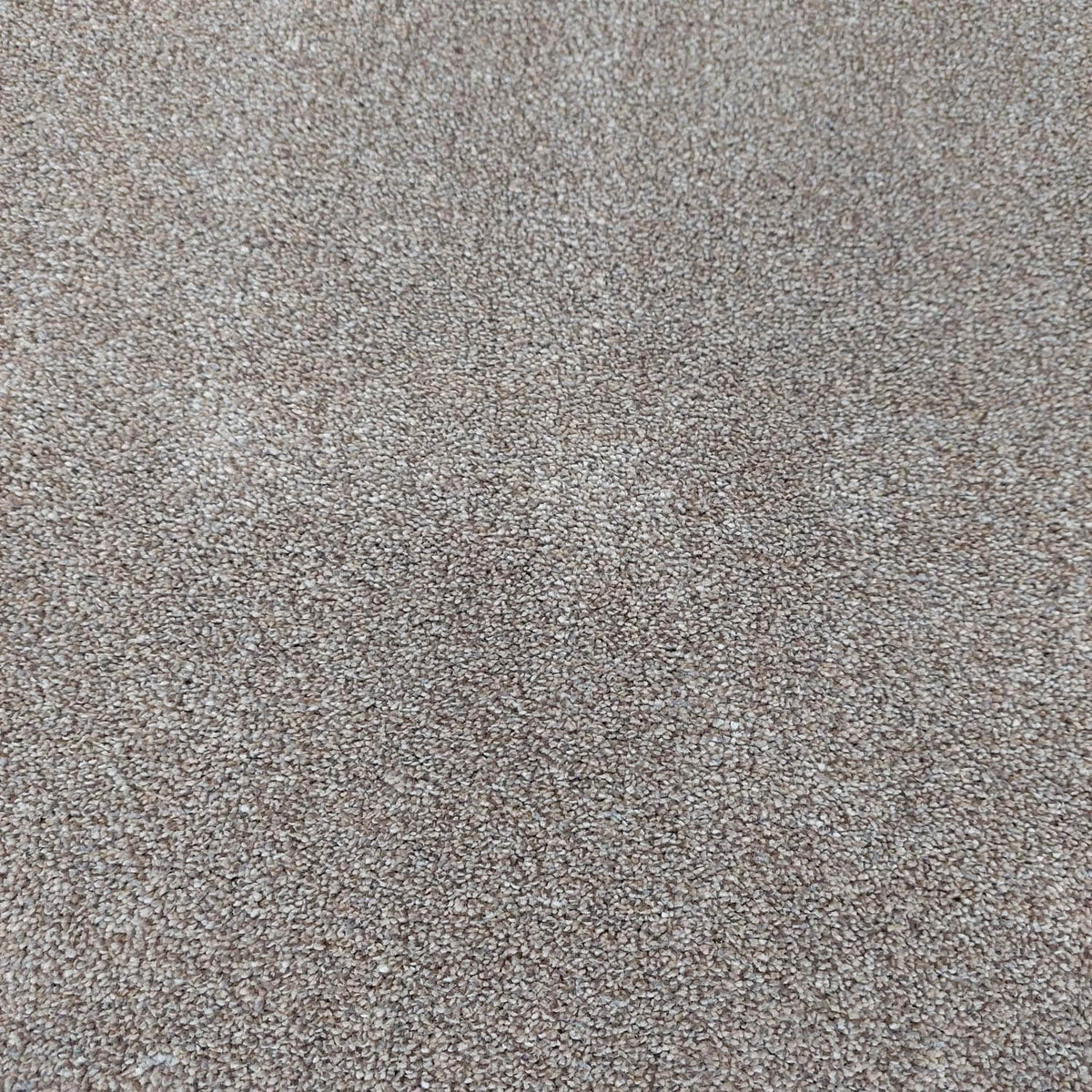 Phloor Caress luxury saxony carpet – Mushroom