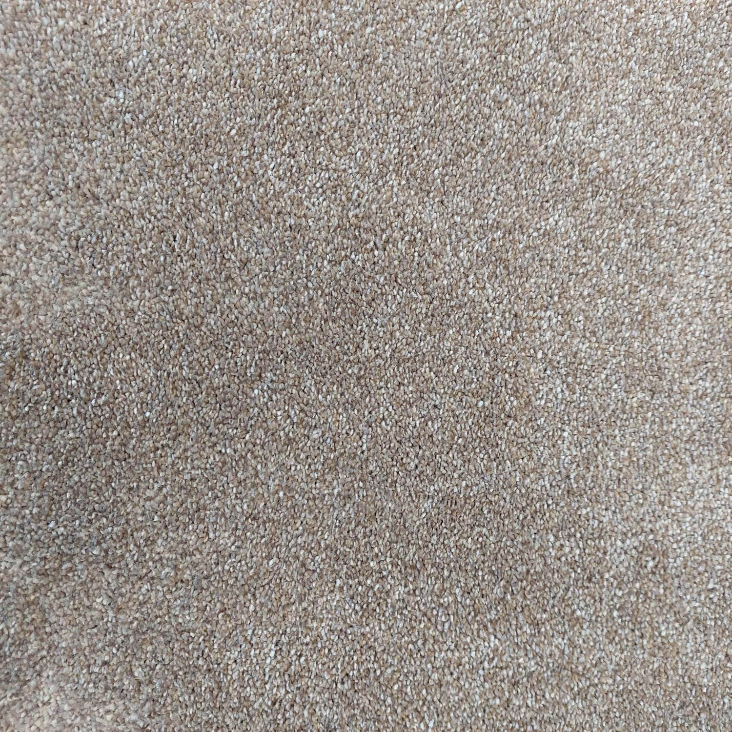 Phloor Caress luxury saxony carpet – Oyster Beige