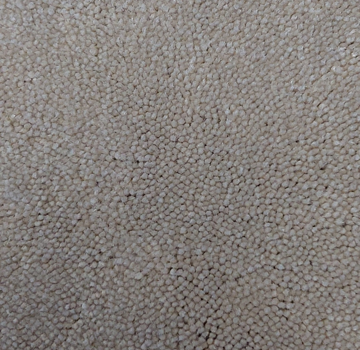 SWITCH 4M carpet - 212 Opaque