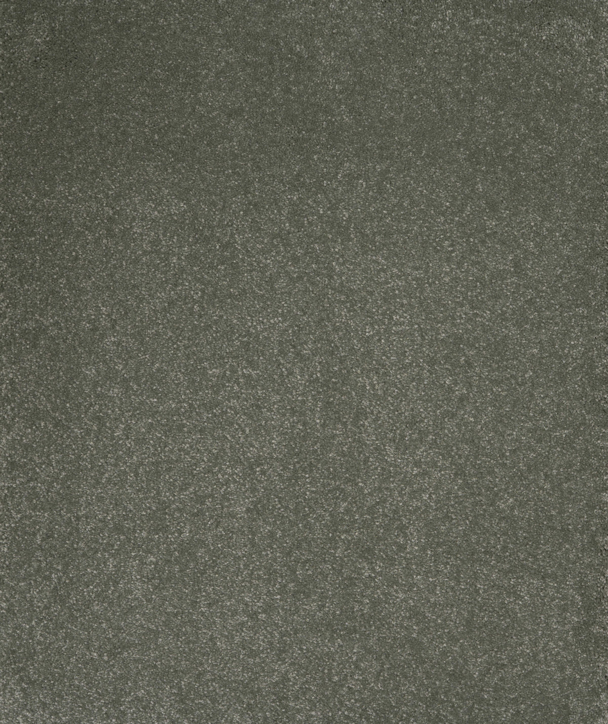 AURORA (4m,5m) carpet - Softened Green