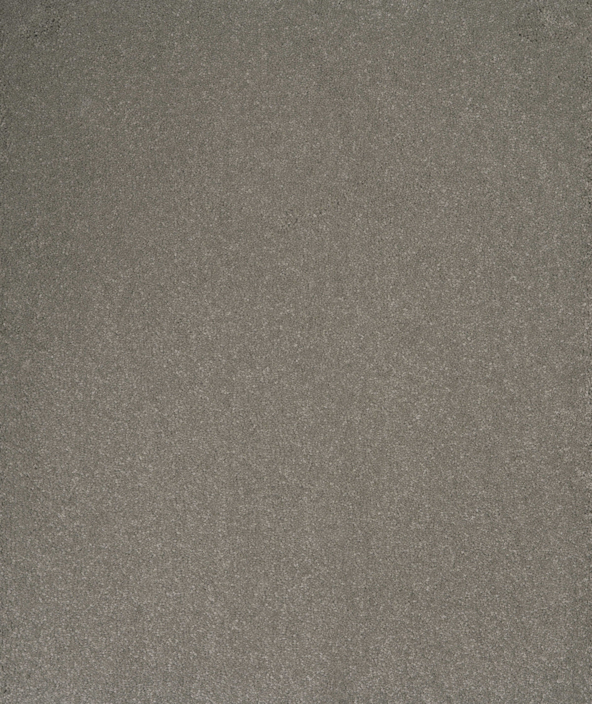 AURORA (4m,5m) carpet - Grey Clay