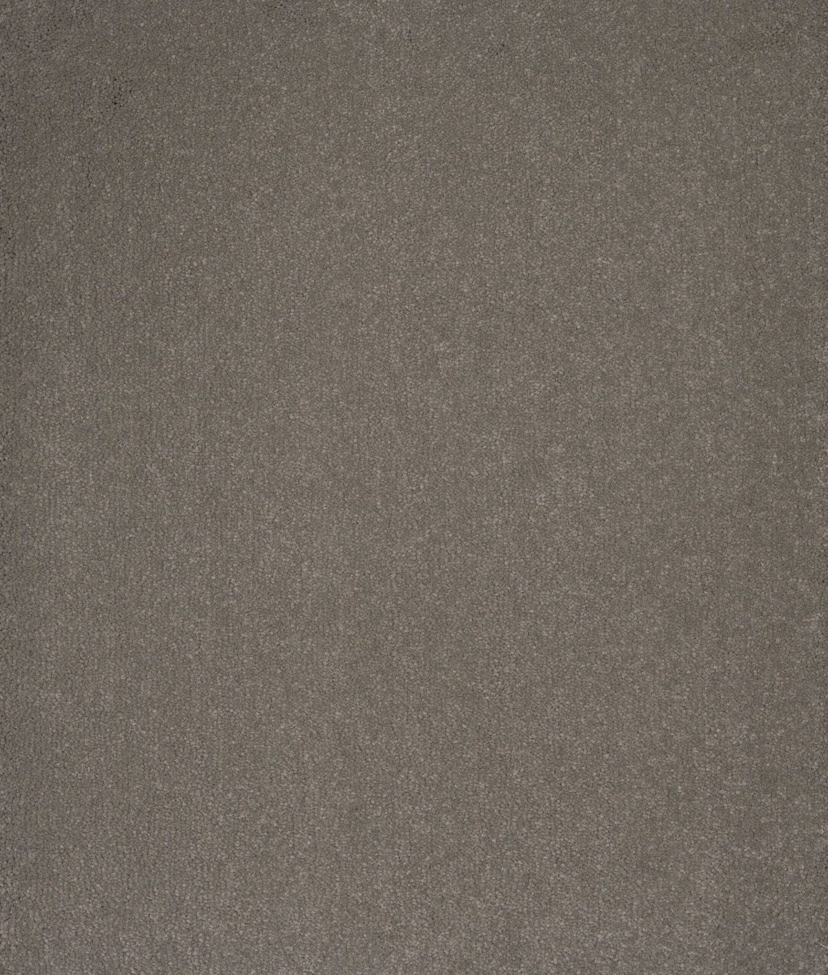 AURORA (4m,5m) carpet - Porcini