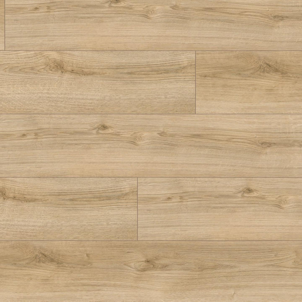 8MM SALZBURG OAK COLLECTION - Evoke Classic