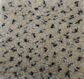 Phloor Scala Combinations impervious carpet – Endurance Magnolia