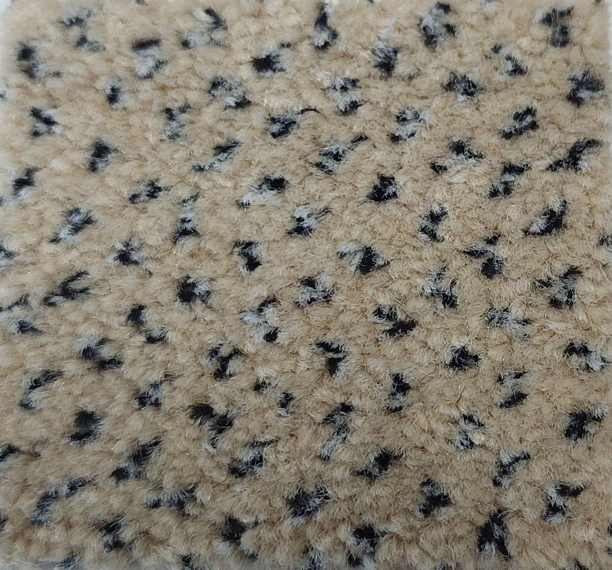 Phloor Scala Combinations impervious carpet – Endurance Magnolia