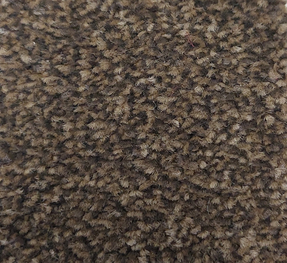 Phloor Scala Combinations impervious carpet – Twist Chestnut 3