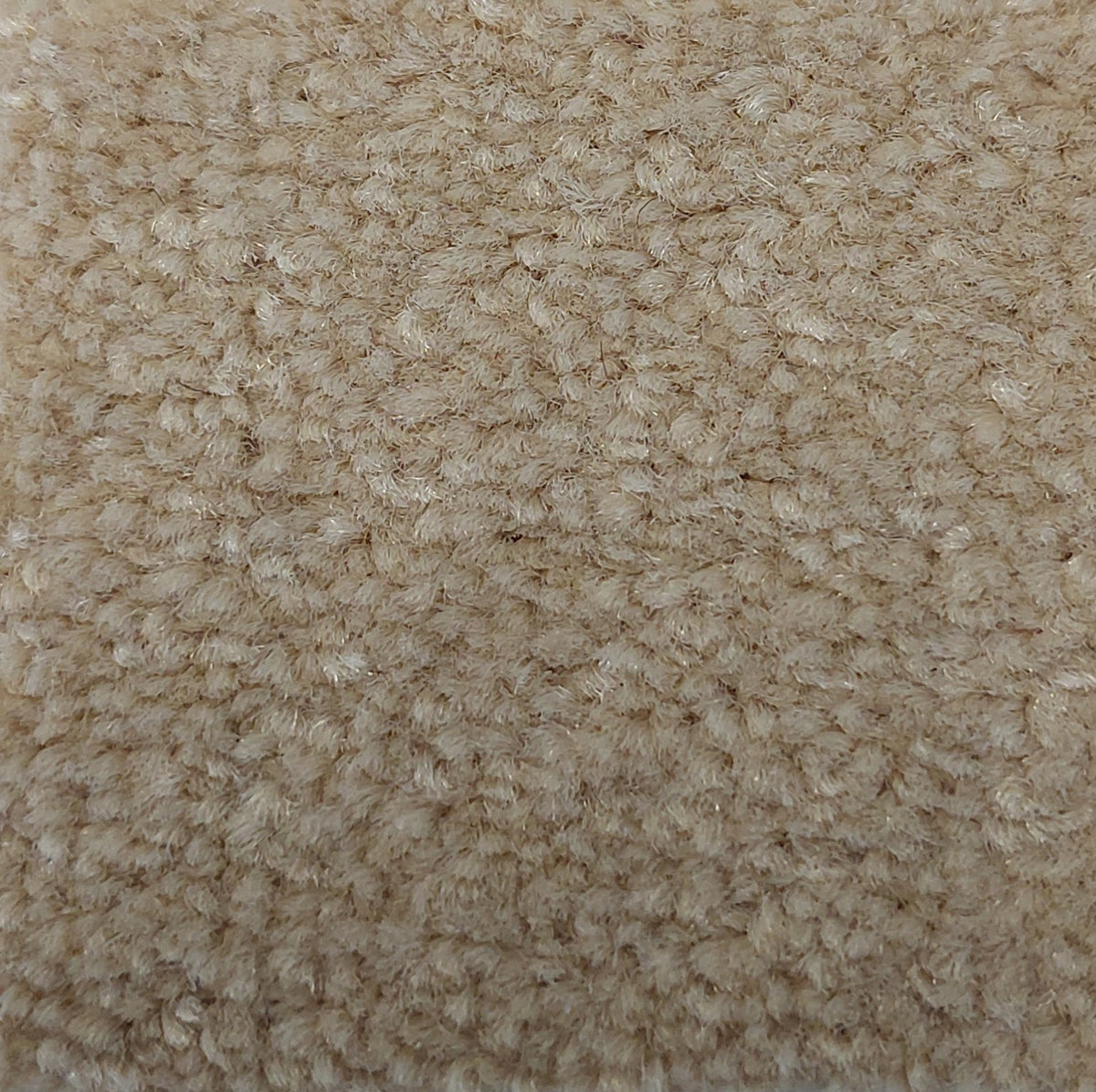 Phloor Scala Combinations impervious carpet – Twist Magnolia