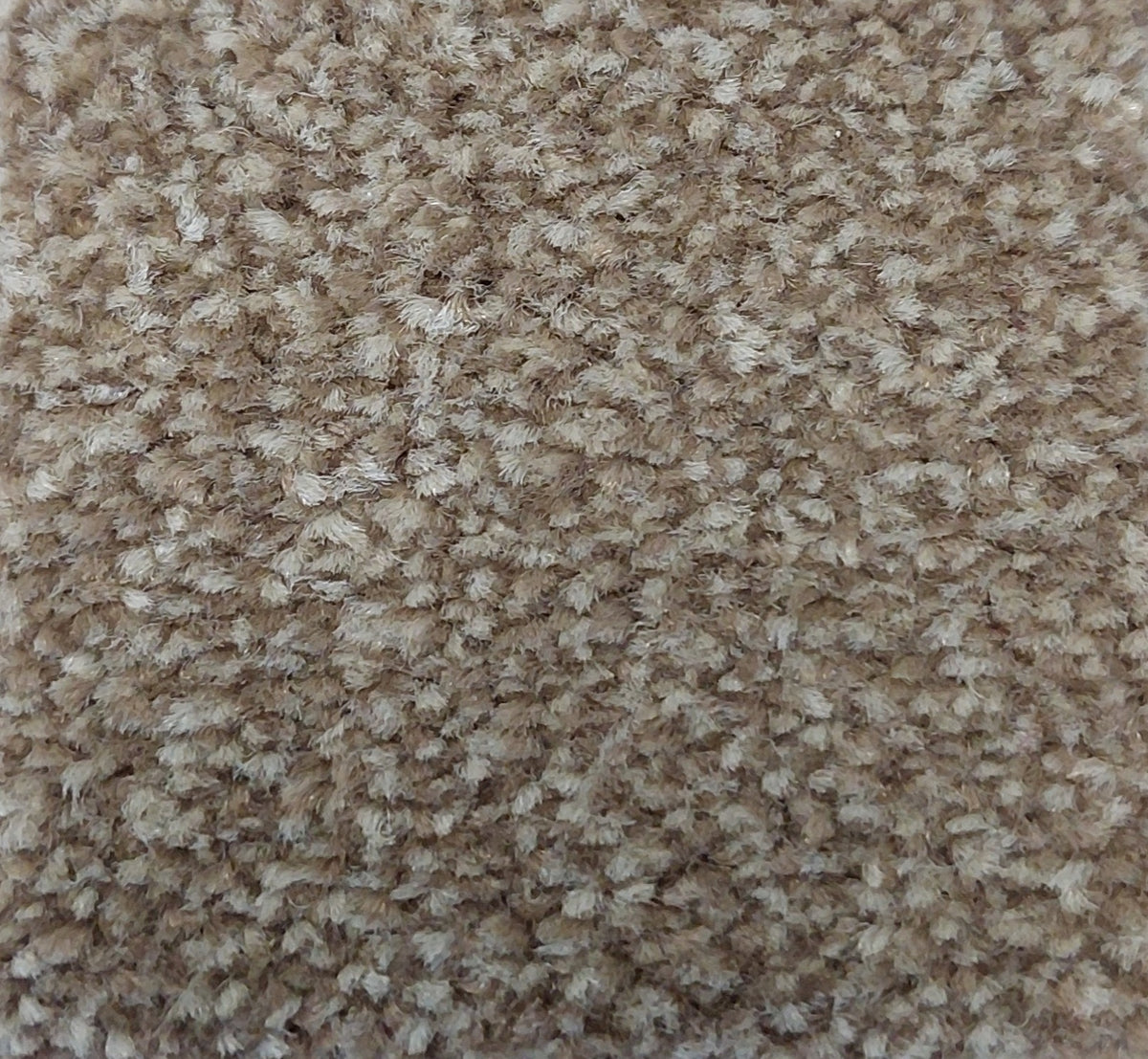 Phloor Scala Combinations impervious carpet – Twist Havanna 1
