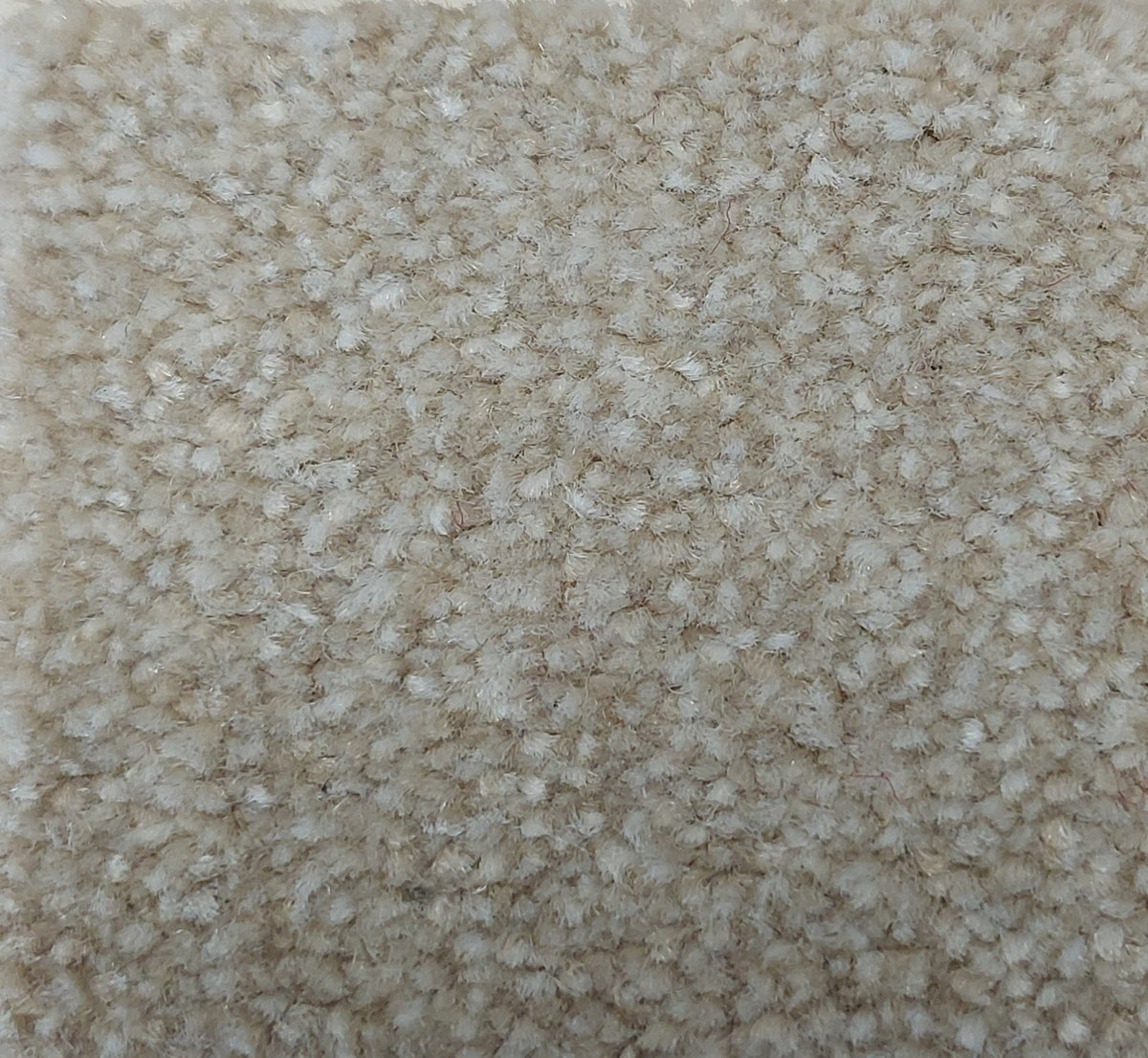 Phloor Scala Combinations impervious carpet – Twist Ivory 3