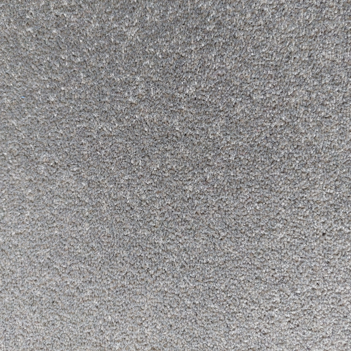 Phloor Scala Combinations impervious carpet – Twist Slate