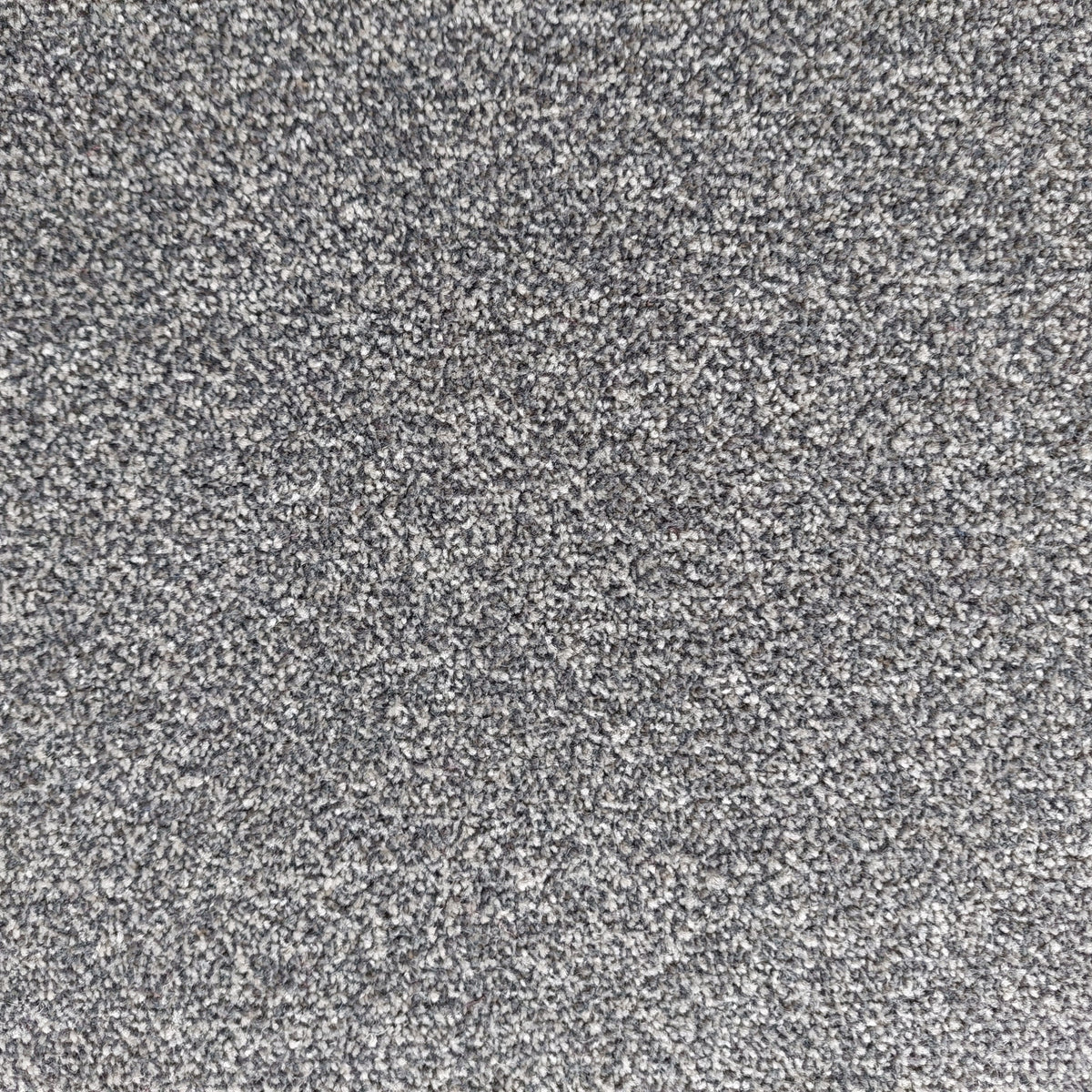 Phloor Scala Combinations impervious carpet – Twist Carbon