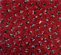 Phloor Scala Combinations action-back carpet – Endurance Carmine