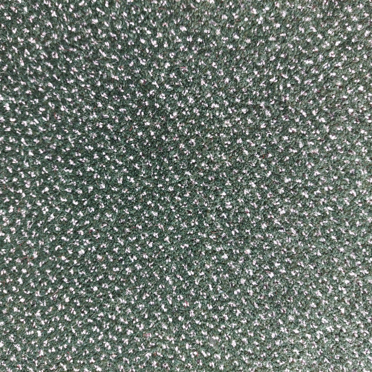 Phloor Scala Combinations action-back carpet – Endurance Pine