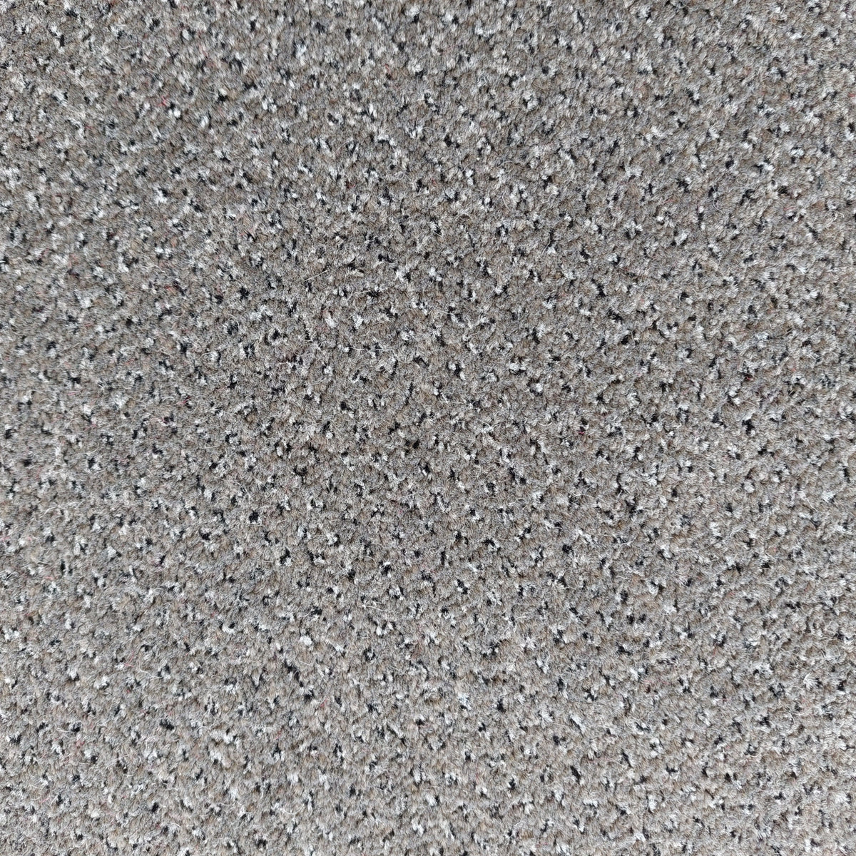 Phloor Scala Combinations action-back carpet – Endurance Slate