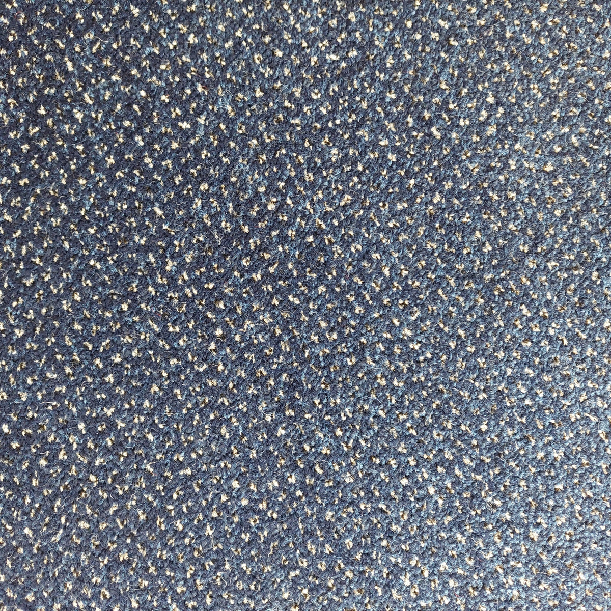 Phloor Scala Combinations action-back carpet – Endurance Navy