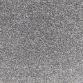 Phloor Scala Combinations action-back carpet – Twist Carbon