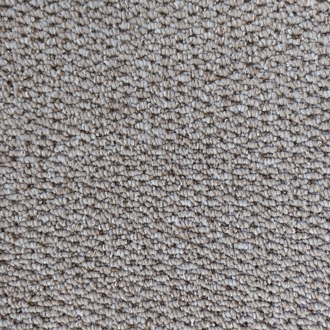 REGATTA 4M – FELT