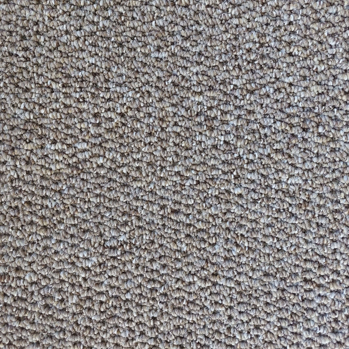 Regatta carpet - Mink