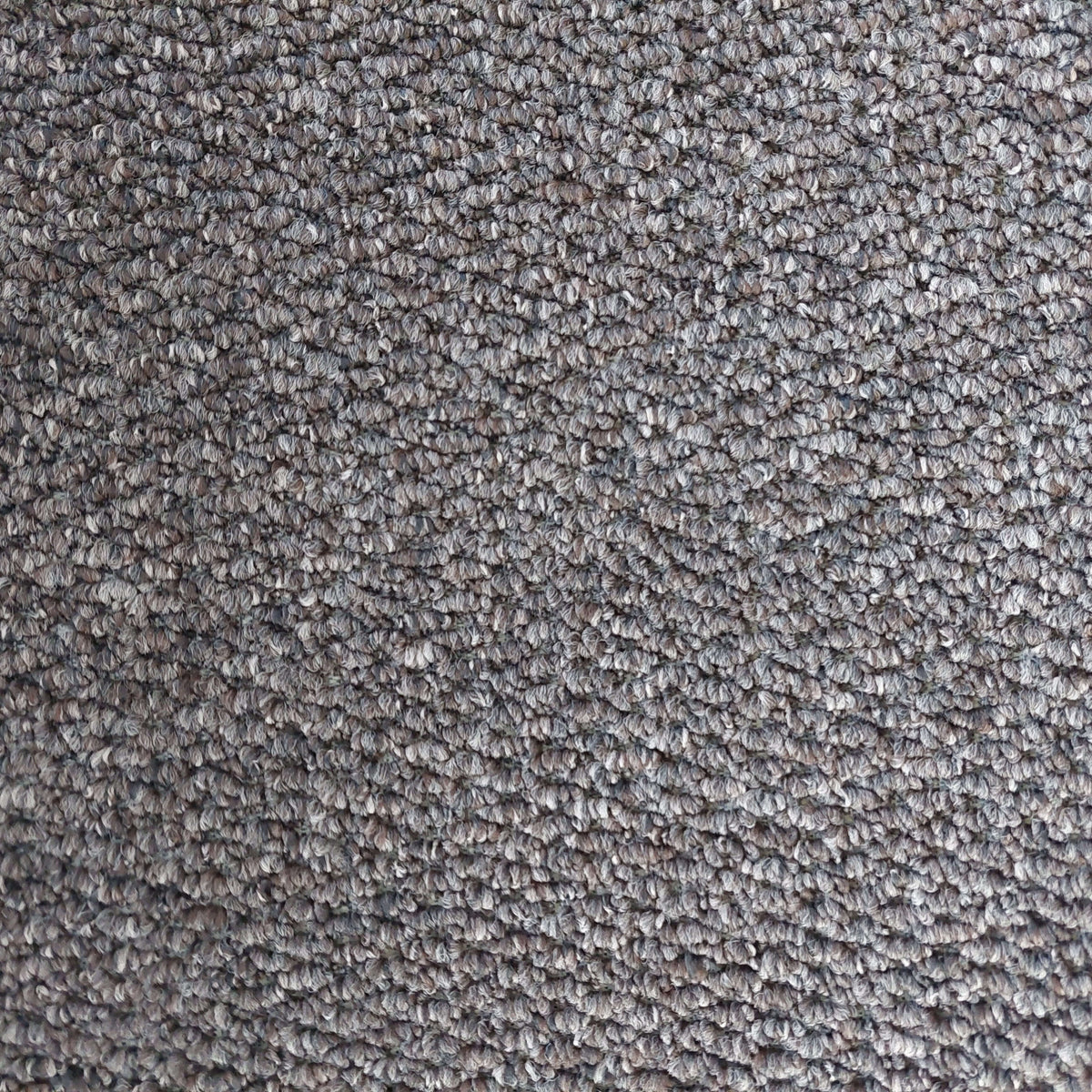 Regatta carpet - Tobacco