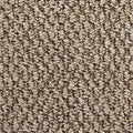 Derby carpet - Stone