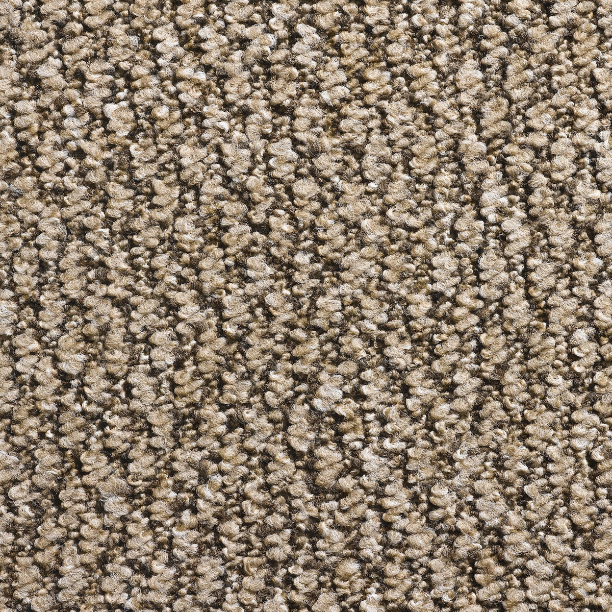 Derby carpet - Stone