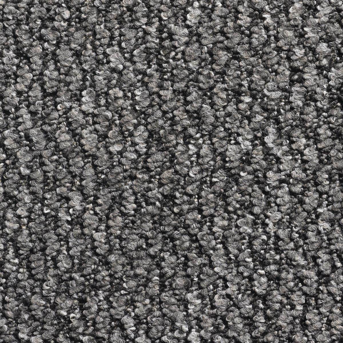 Derby carpet - Anthracite