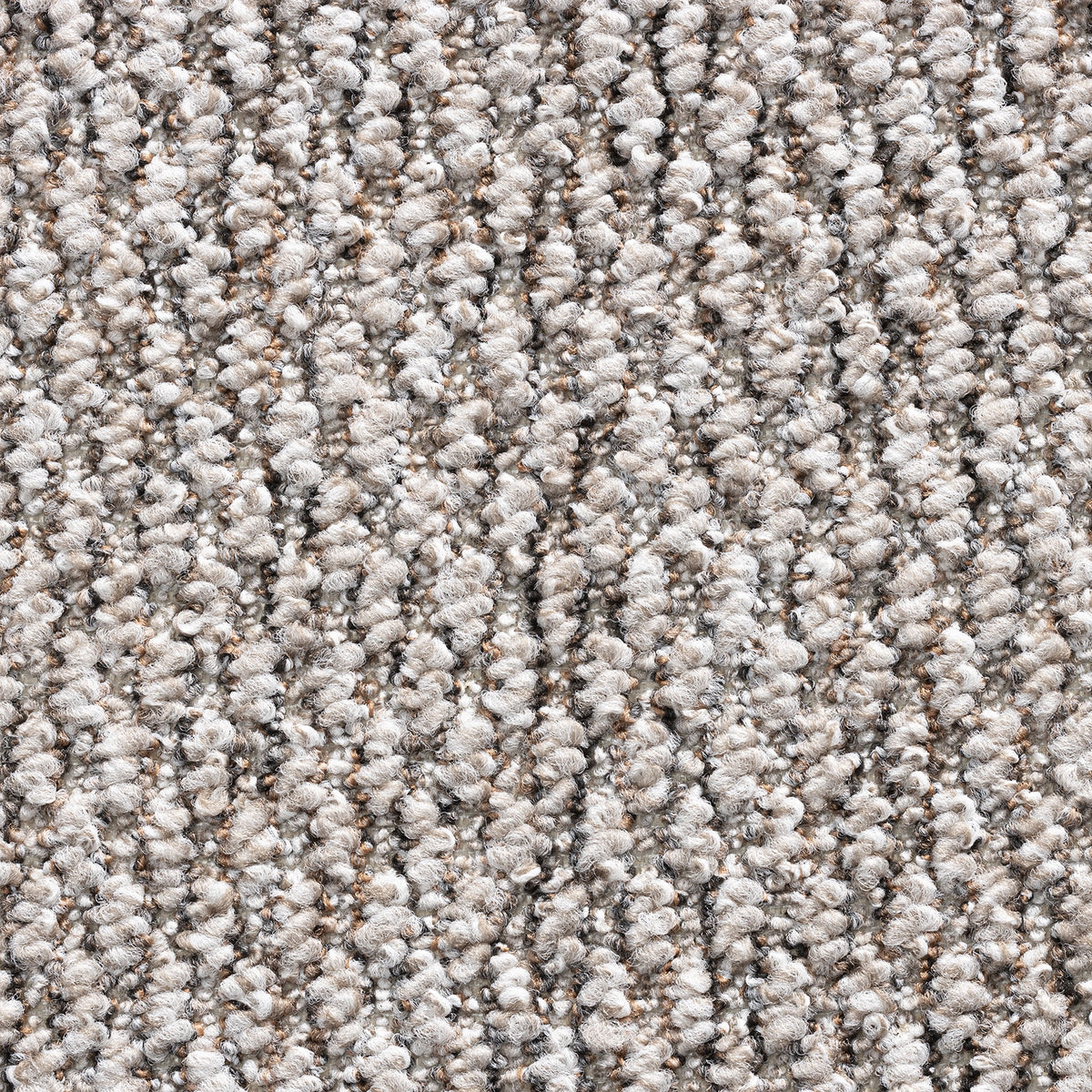 Derby carpet - Mink