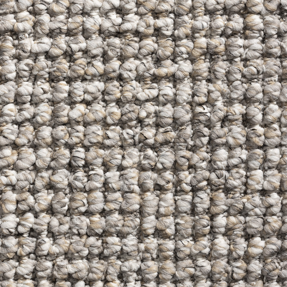 Daytona carpet - Taupe