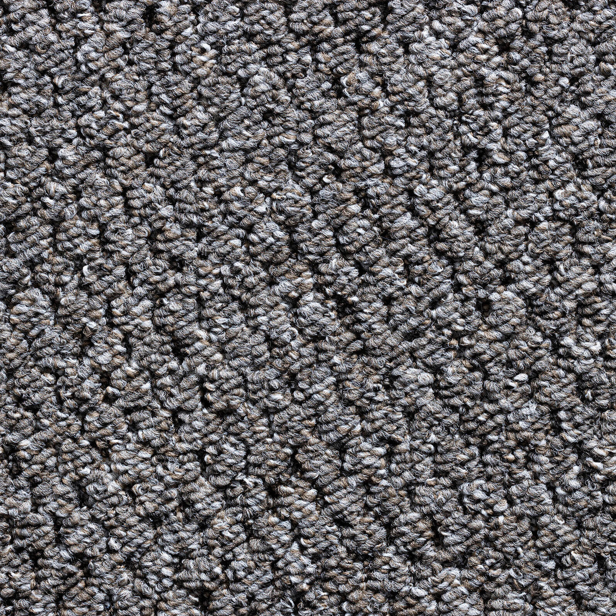 Alabama carpet - Bramble