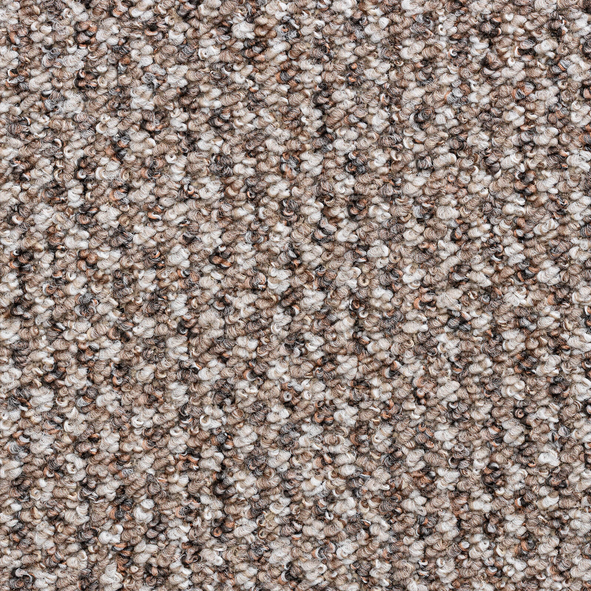 Tango carpet - Mink