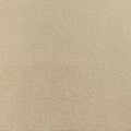 Hyatt Elite 70 CREAM 5m carpet