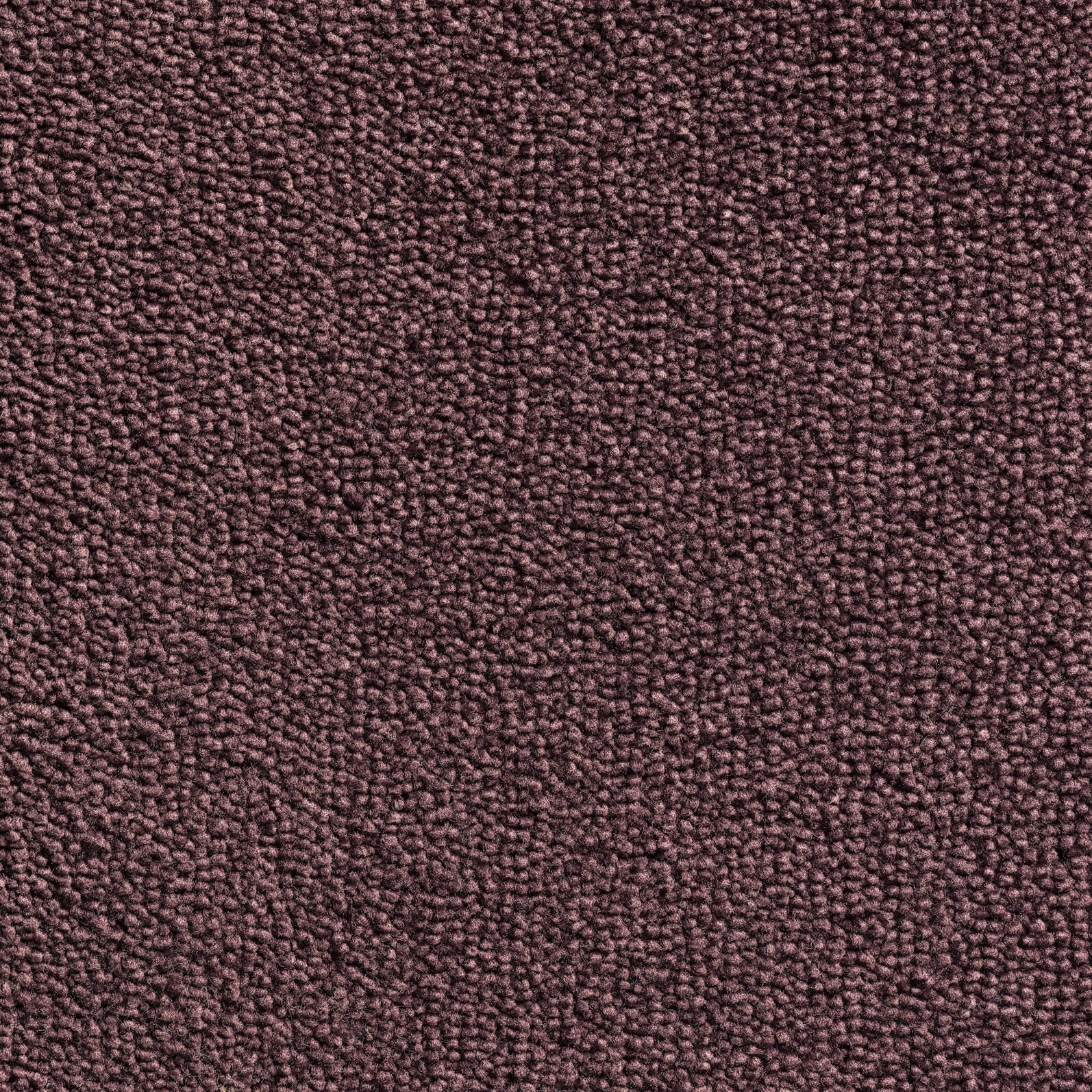 Phloor Aeon 4m Carpet - Contemporary Flooring - 325/188 Burgundy