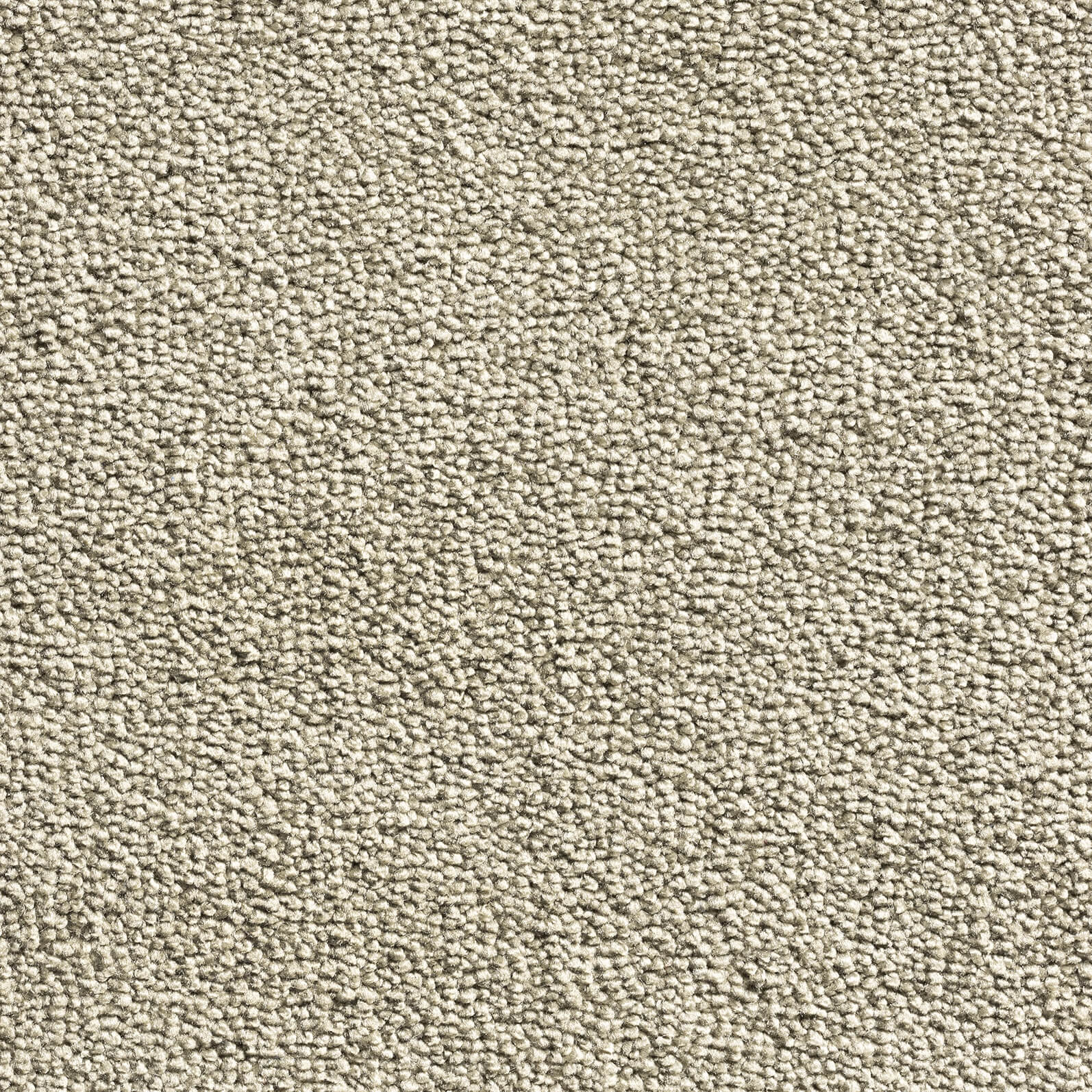 Phloor Aeon 4m Carpet - Contemporary Flooring - 340/164 Olive