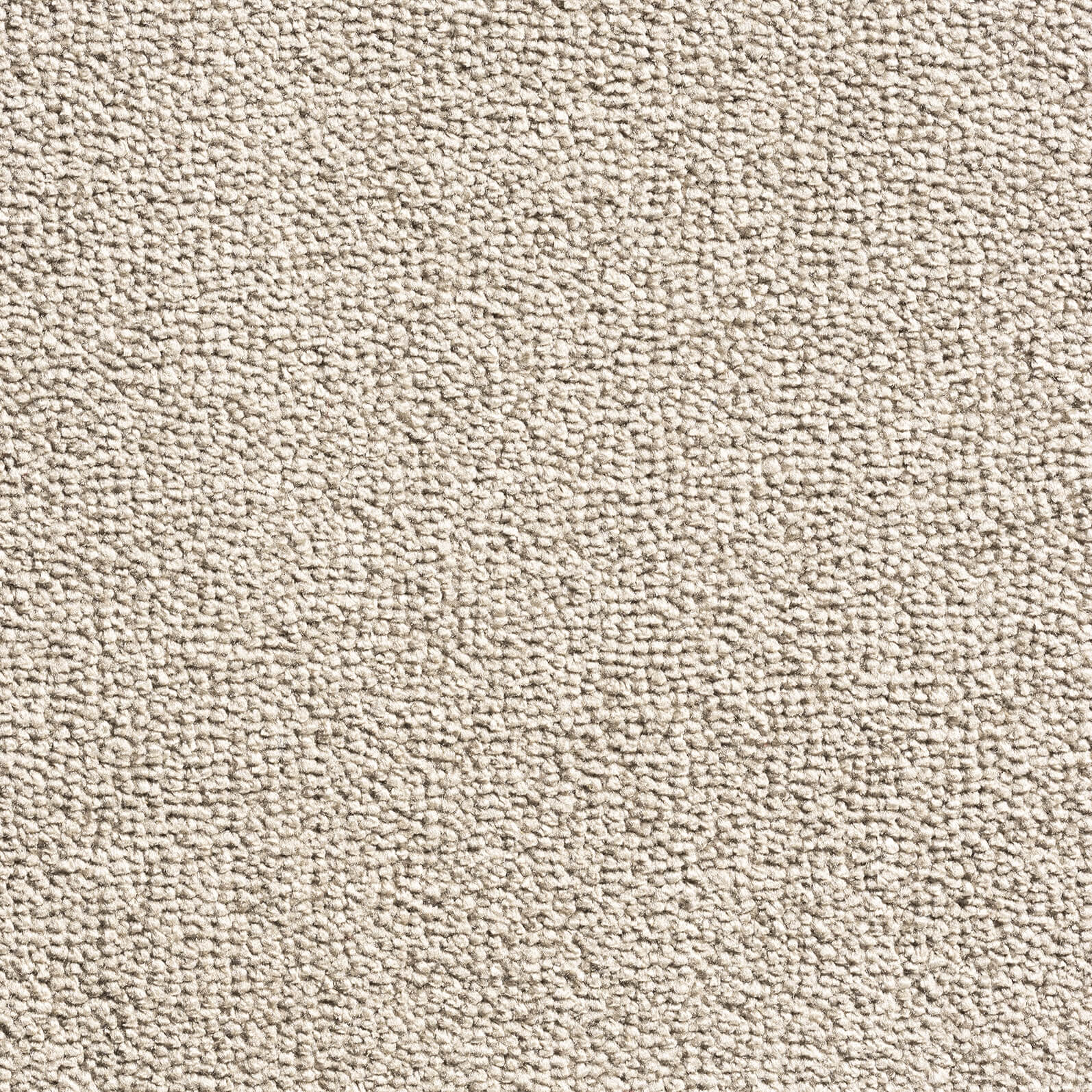 Phloor Aeon 4m Carpet - Contemporary Flooring - 376/143 Truffle/Loam