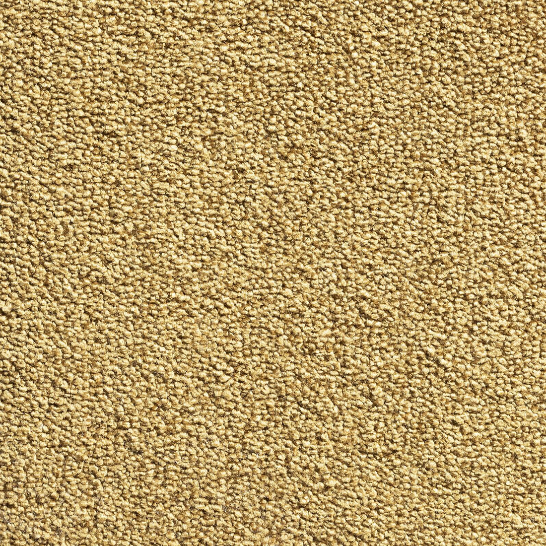 Phloor Aeon 4m Carpet - Contemporary Flooring
