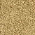 Phloor Aeon 4m Carpet - Contemporary Flooring - 150/153 Lion