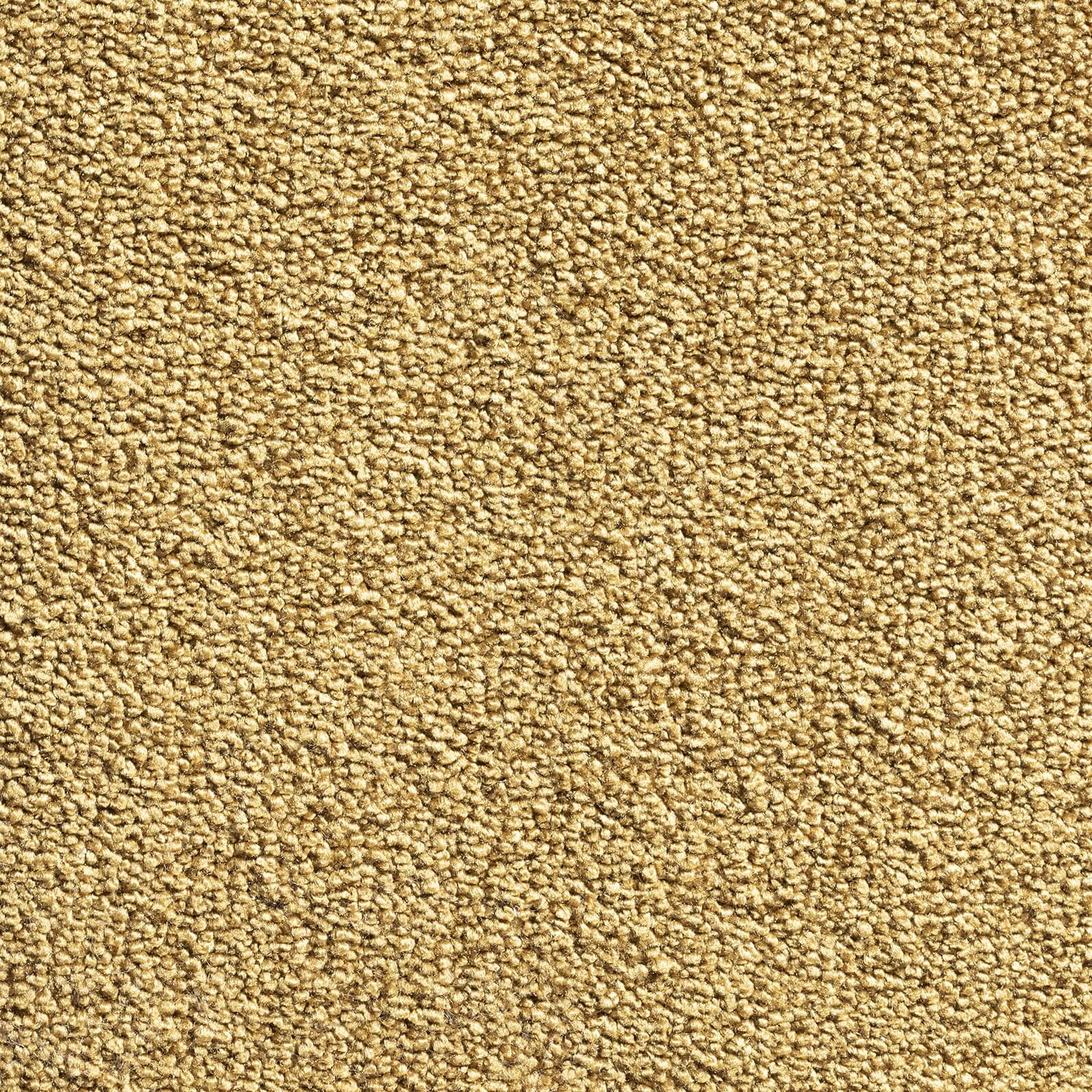 Phloor Aeon 4m Carpet - Contemporary Flooring - 150/153 Lion