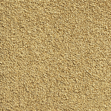 Phloor Aeon 4m Carpet - Contemporary Flooring - 150/153 Lion