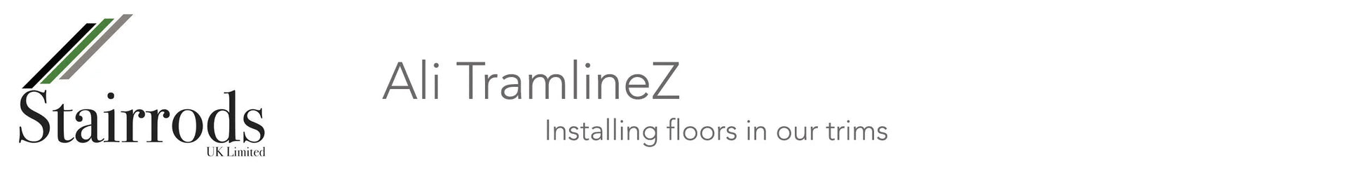Ali TramlineZ - 3mm Recess for LVT, glue down - 90cm official product image