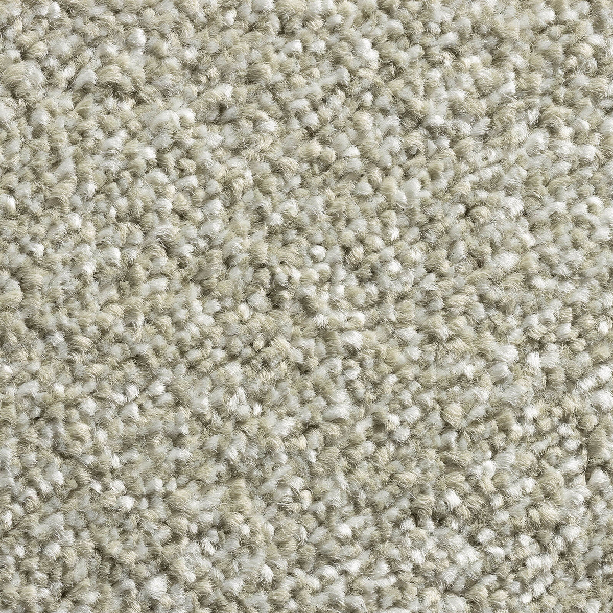 Allegro carpet – Fern